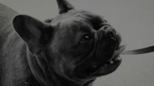 Overbreeding
